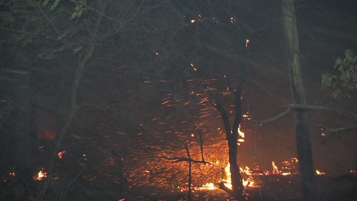 Balıkesir'de meyve bahçesinde çıkan yangın yerleşim yerlerine sıçramadan söndürüldü G2