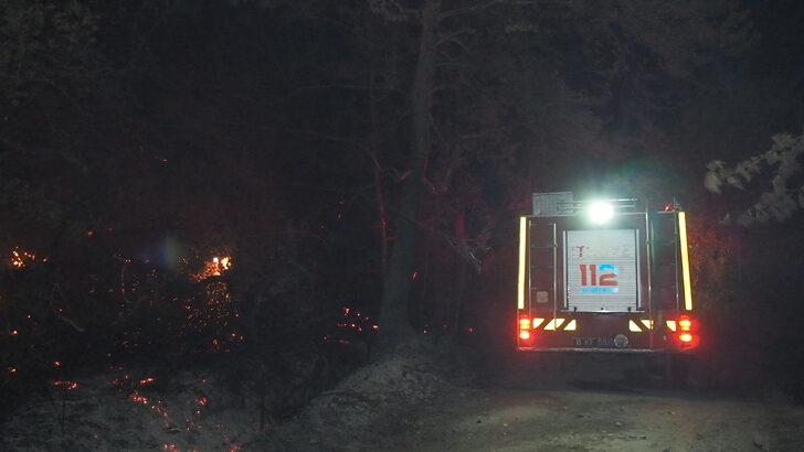 Balıkesir'de meyve bahçesinde çıkan yangın yerleşim yerlerine sıçramadan söndürüldü G3