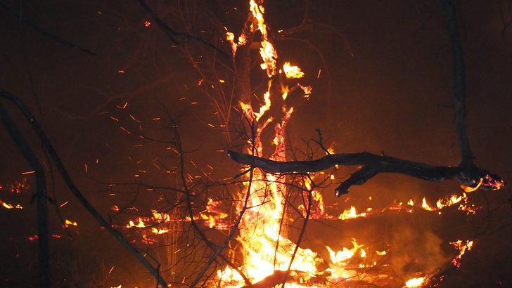 Balıkesir'de meyve bahçesinde çıkan yangın yerleşim yerlerine sıçramadan söndürüldü G4