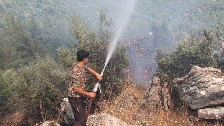 Antalya’da mevsimin ilk orman yangını