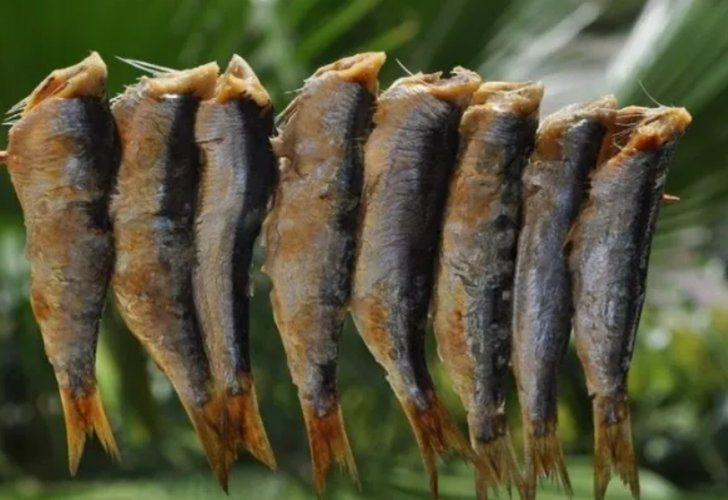 Masterchef Sardalya balığı, Sardalya balığı en lezzetli nasıl pişirilir?