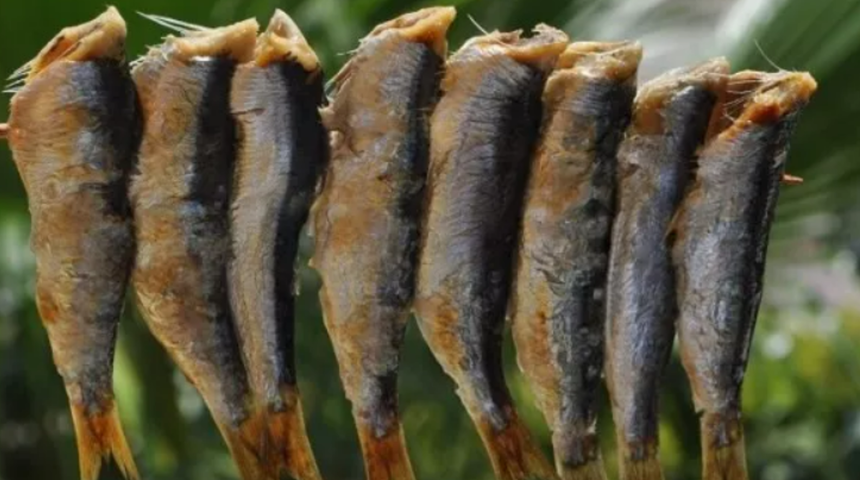 Masterchef Sardalya balığı, Sardalya balığı en lezzetli nasıl pişirilir?