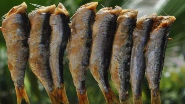 Masterchef Sardalya balığı, Sardalya balığı en lezzetli nasıl pişirilir?