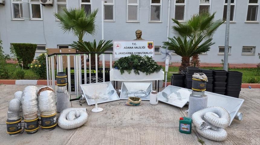 Adana'da kaçak elektrikle Hint keneviri yetiştiren zanlı gözaltına alındı