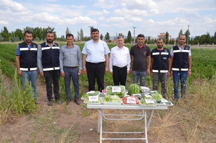 Kahramankazan'da belediye çalışanları, ihtiyaç sahipleri için sebze üretiyor G4