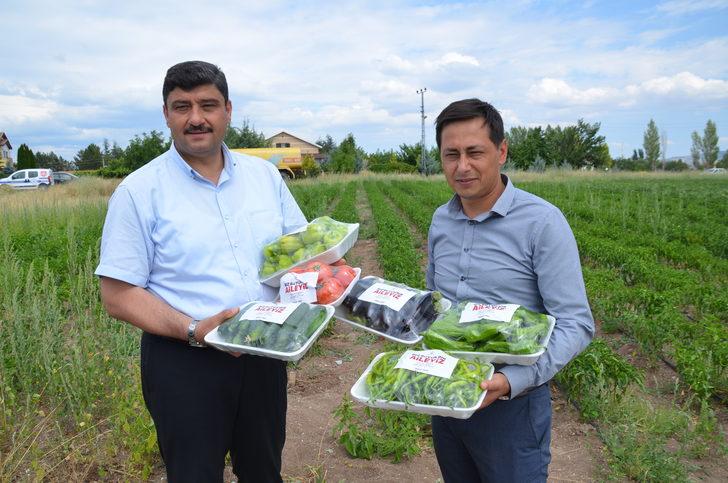 Kahramankazan'da belediye çalışanları, ihtiyaç sahipleri için sebze üretiyor G3