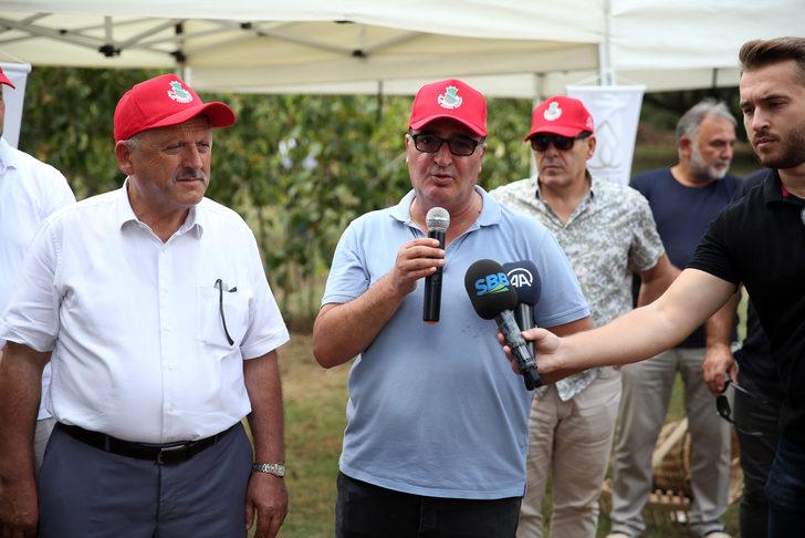 Sakarya'da fındık hasat şenliği yapıldı G3