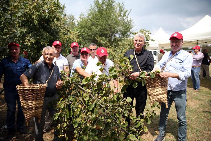 Sakarya'da fındık hasat şenliği yapıldı G4