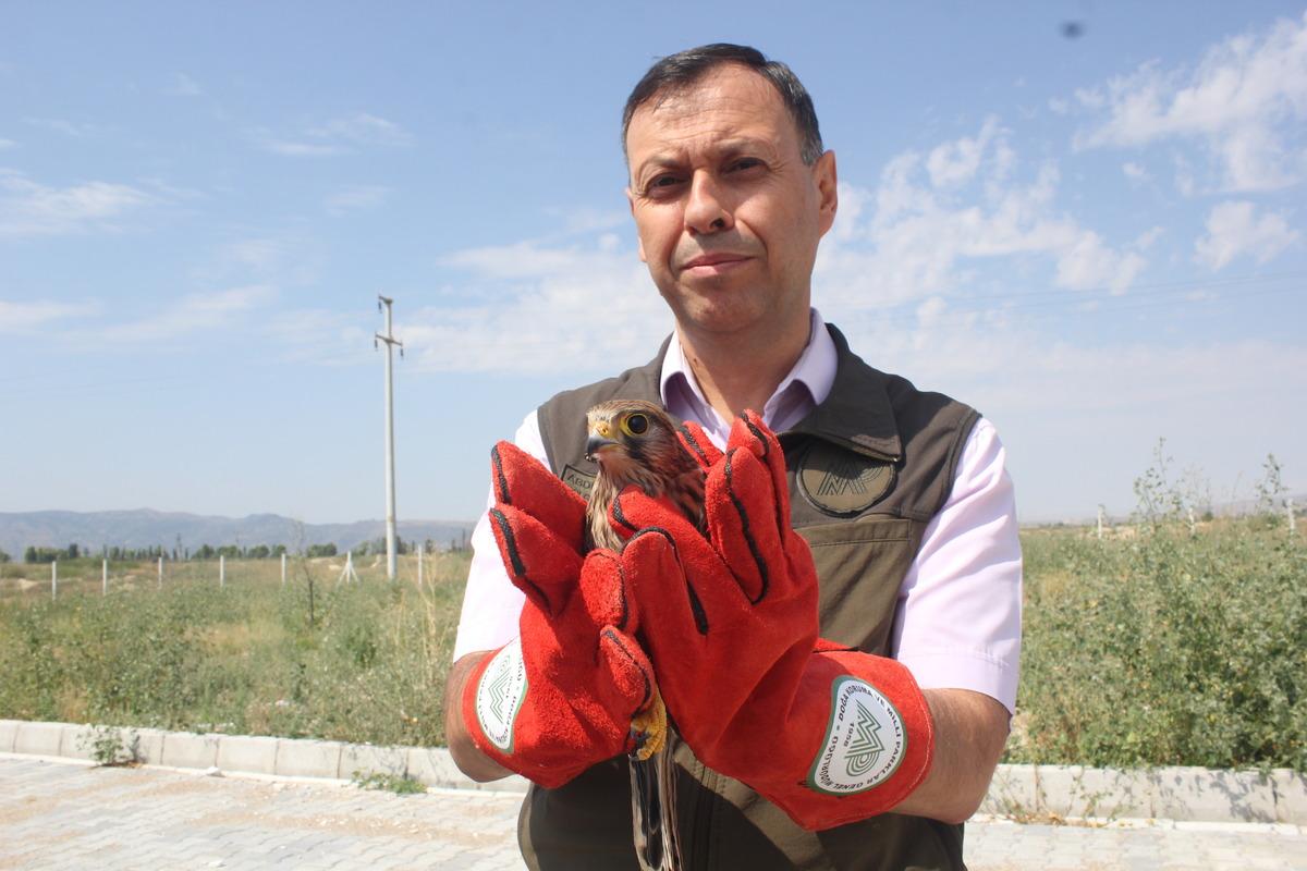 Afyonkarahisar'da bakımları tamamlanan 14 kuş doğaya salındı