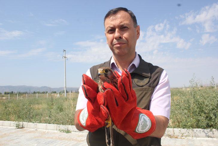 Afyonkarahisar'da bakımları tamamlanan 14 kuş doğaya salındı G1