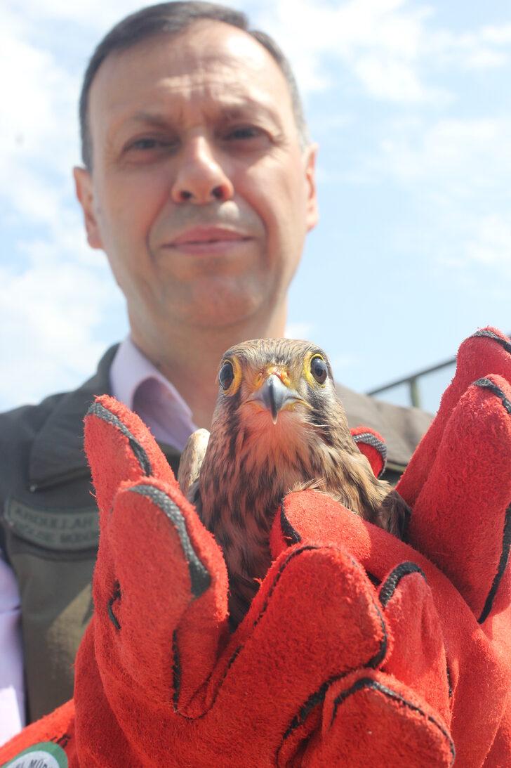 Afyonkarahisar'da bakımları tamamlanan 14 kuş doğaya salındı G2