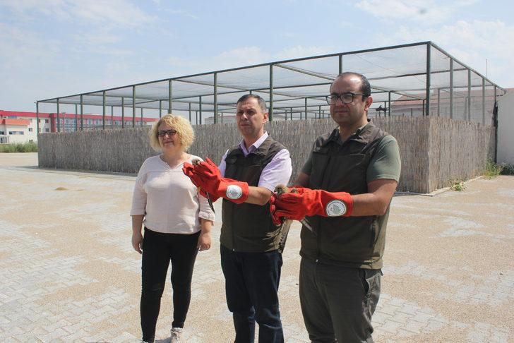 Afyonkarahisar'da bakımları tamamlanan 14 kuş doğaya salındı G3