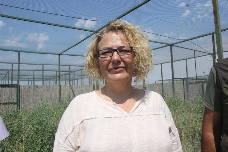 Afyonkarahisar'da bakımları tamamlanan 14 kuş doğaya salındı G5