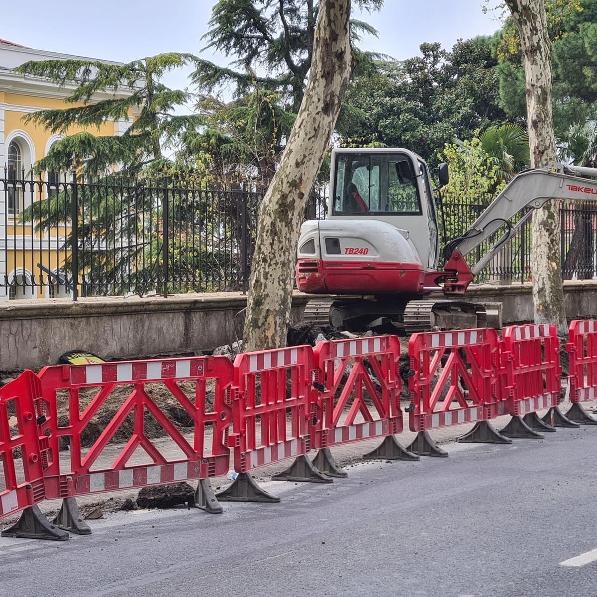Orman M&uuml;hendisleri Odası, İBB'nin &Ccedil;ırağan'da kestiği ağa&ccedil;larla ilgili raporunu yayımladı