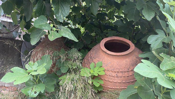 İstanbul'da çok sayıda tarihi amfora ele geçirildi G5