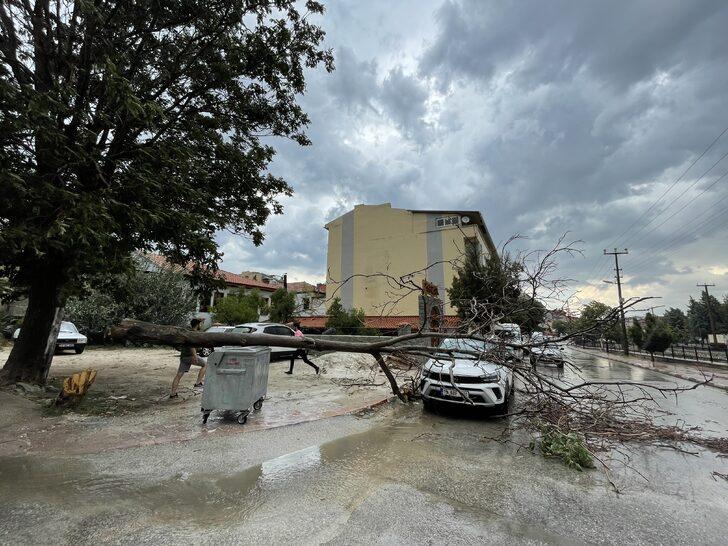Burdur'da etkili olan kuvvetli rüzgar ve sağanaktan dolayı ağaçlar devrildi G5