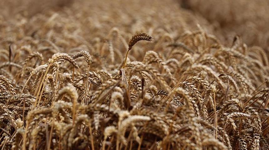 Türkiye'ye yüzde 25 indirim mi uygulanacak? Açıklama geldi