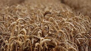 Türkiye'ye yüzde 25 indirim mi uygulanacak? Açıklama geldi