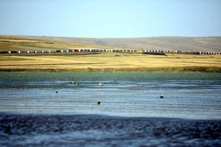 Gürcistan'a açılan Çıldır-Aktaş Gümrük Kapısında tır kuyruğu G2