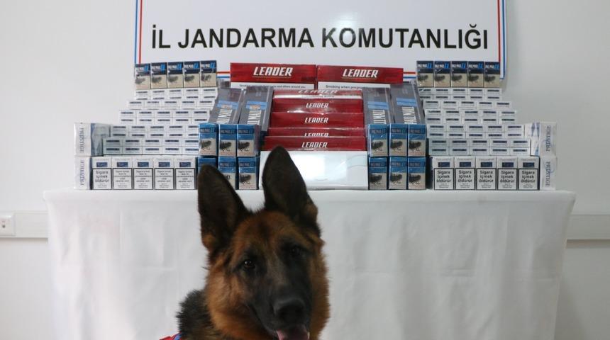 Kars'ta bir otomobilde kaçak sigara yakalandı