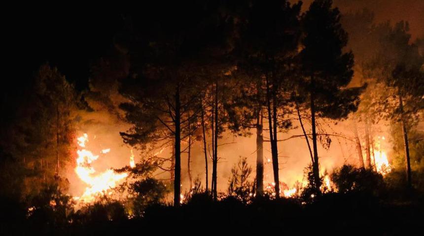 Sinop Gerze'de korkutan orman yangını! Ekipler hemen müdahale etti...