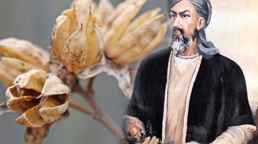 Böbrek taşı sorununu İbn-i Sina reçetesi ile kökten çözün! Biri olmazsa diğerini deneyin 