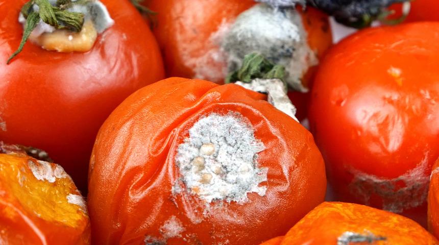 Uzamayan sa&ccedil;ları uzatır... &Ccedil;&uuml;r&uuml;k domateslerin aklınızın ucuna dahi gelmeyecek faydaları