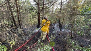 Uludağ'da çıkan orman yangını kontrol altına alındı
