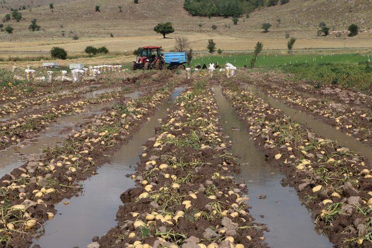 Afyonkarahisar'da sağanak bazı tarım arazilerine zarar verdi G1