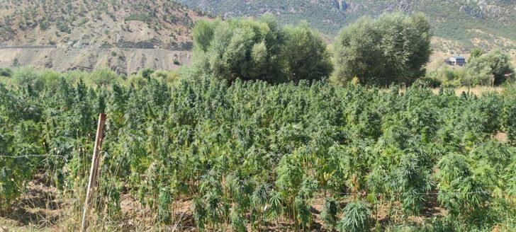 Eren Abluka-33 Şehit Jandarma Uzman Çavuş Muhammet Tufan Operasyonu başlatıldı G2