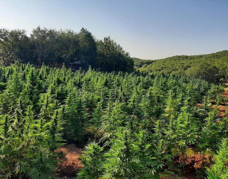 Eren Abluka-33 Şehit Jandarma Uzman Çavuş Muhammet Tufan Operasyonu başlatıldı G5