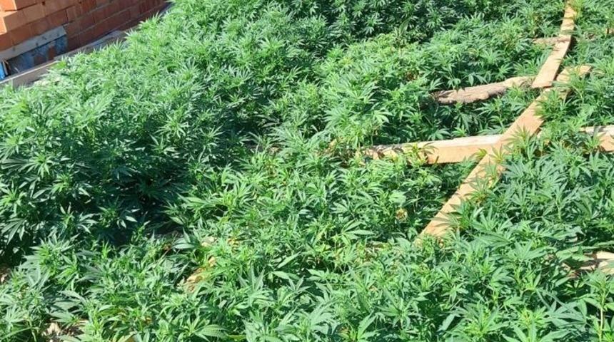 Eskişehir'deki evinde uyuşturucu üretip sattığı iddia edilen şüpheli tutuklandı