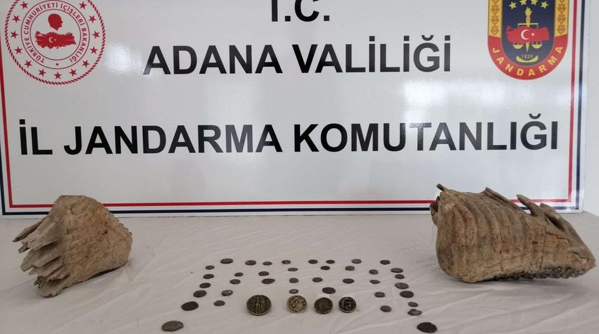 Adana'da mamut çenesi olduğu değerlendirilen iki fosil ele geçirildi
