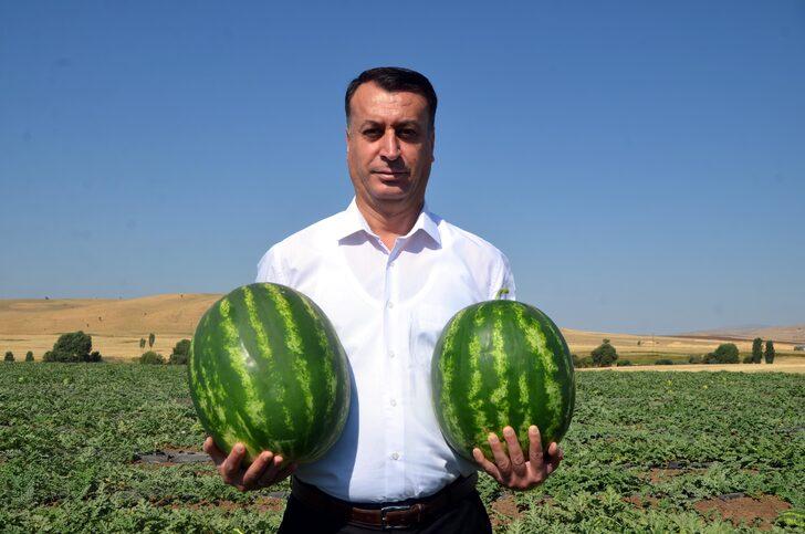 Muş'ta 102 bin ton karpuz hasat edilmesi bekleniyor G2