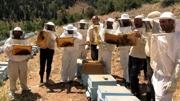 Binboğa Dağları'nda bal hasadına başlandı G3