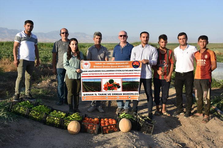 Şırnak'ta üreticilere sağlanan fide desteği meyve verdi G3