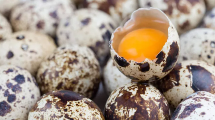 Bıldırcın yumurtası faydaları nelerdir? Bıldırcın yumurtası nasıl t&uuml;ketilir?