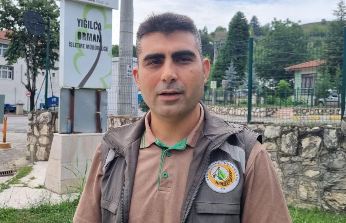 Balın dozunu ka&ccedil;ırdığı i&ccedil;in bitkin d&uuml;şen ayının tedavisi s&uuml;r&uuml;yor