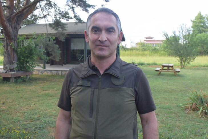 Balın dozunu kaçırdığı için bitkin düşen ayının tedavisi sürüyor G2