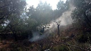 Muğla'da otluk alanda çıkan yangın söndürüldü