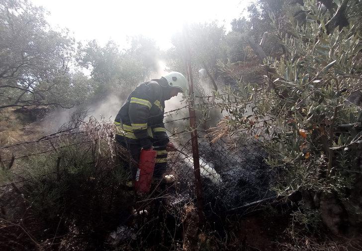 Muğla'da otluk alanda çıkan yangın söndürüldü G2