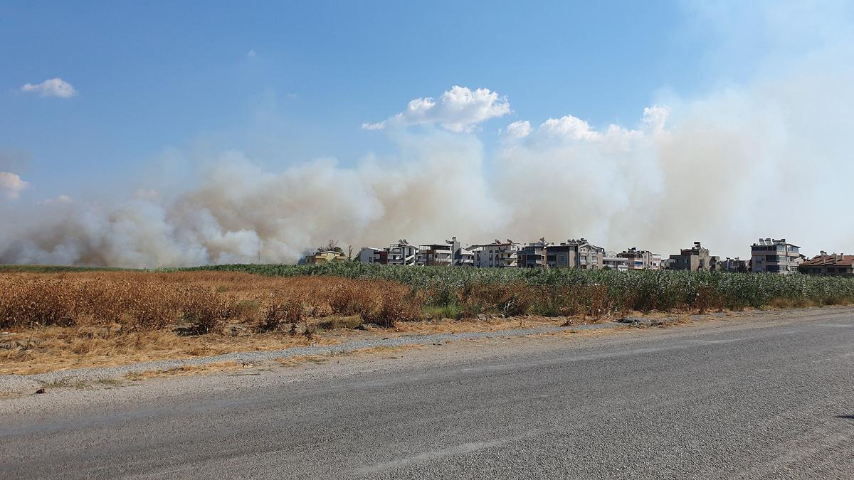 Balıkesir'de sazlık alanda &ccedil;ıkan yangın s&ouml;nd&uuml;r&uuml;ld&uuml;