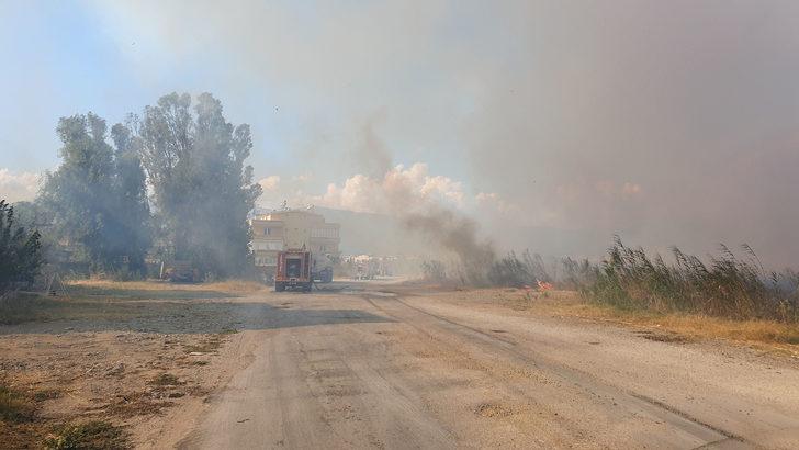 Balıkesir'de sazlık alanda çıkan yangın söndürüldü G2