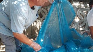 Manisa’da kedi ve köpek katliamı! Biri sahipli köpek, 15 kedi zehirlenerek öldürüldü