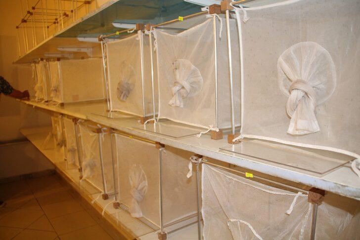 Kontrolsüz göçmen akınıyla tehlike kapıda! Ölümcül hastalıkları bulaştırıyor, gece gündüz fark etmiyor G3