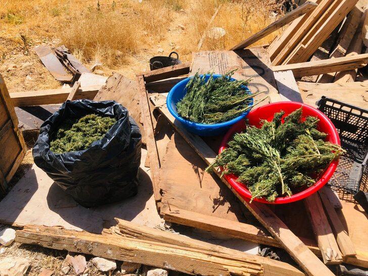Gaziantep'te çiftlik evinde kenevir yetiştiren 2 şüpheli tutuklandı G1
