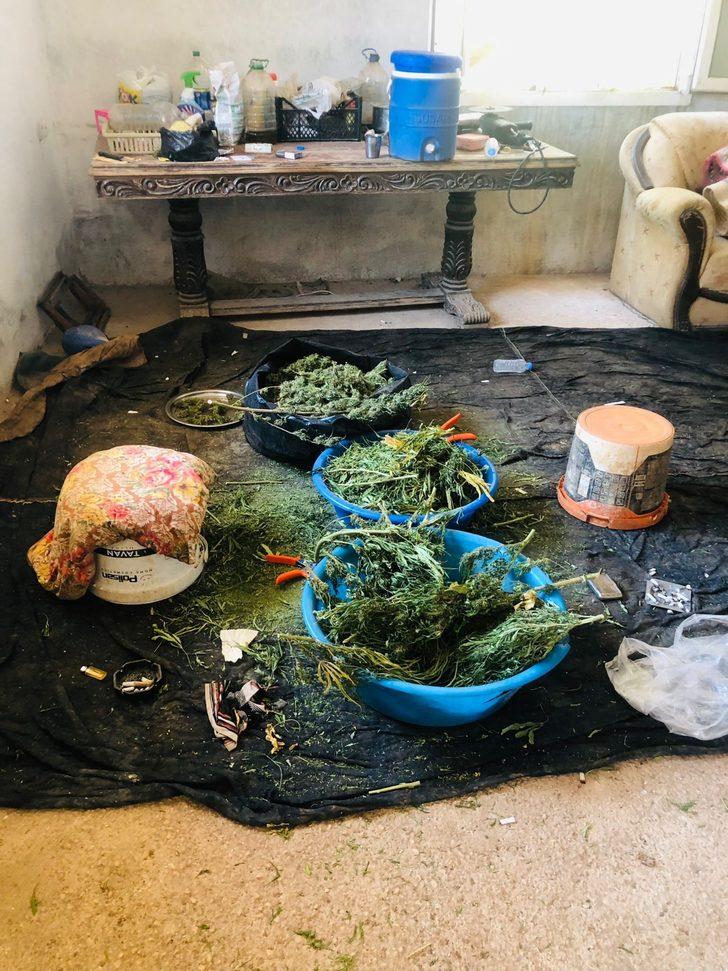 Gaziantep'te çiftlik evinde kenevir yetiştiren 2 şüpheli tutuklandı G3