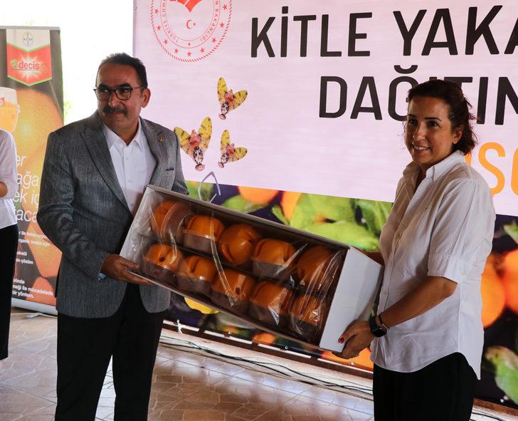 Adana'da üreticilere Akdeniz meyve sineğine karşı tuzak dağıtıldı G4