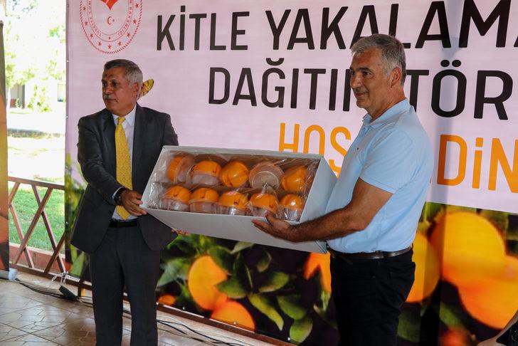 Adana'da üreticilere Akdeniz meyve sineğine karşı tuzak dağıtıldı G5