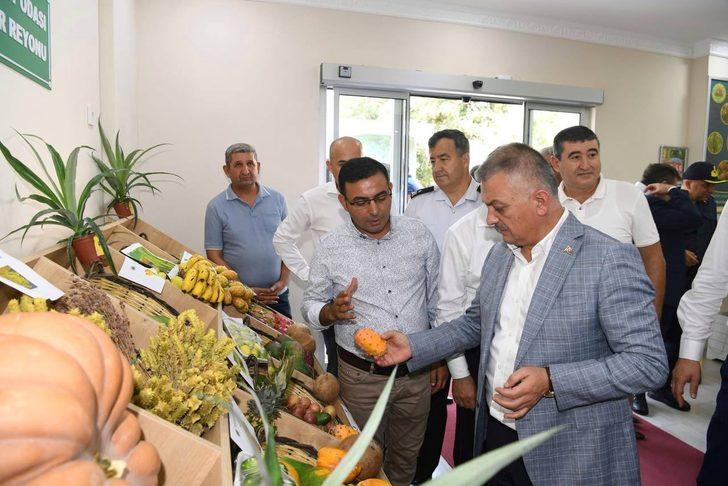 Antalya'da tropikal meyve üretimi çiftçiye kazanç sağlıyor G2